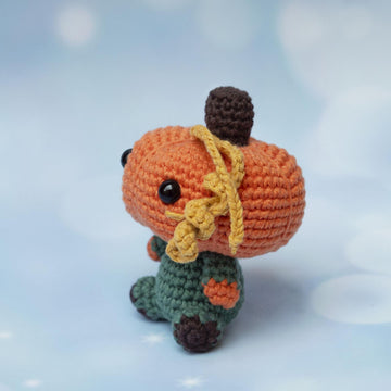 Mini Pumpkin Boy