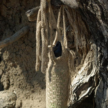 Luangwa Valley Water Carrier