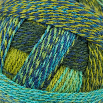 Schoppel Wolle Zauberball Stärke 6