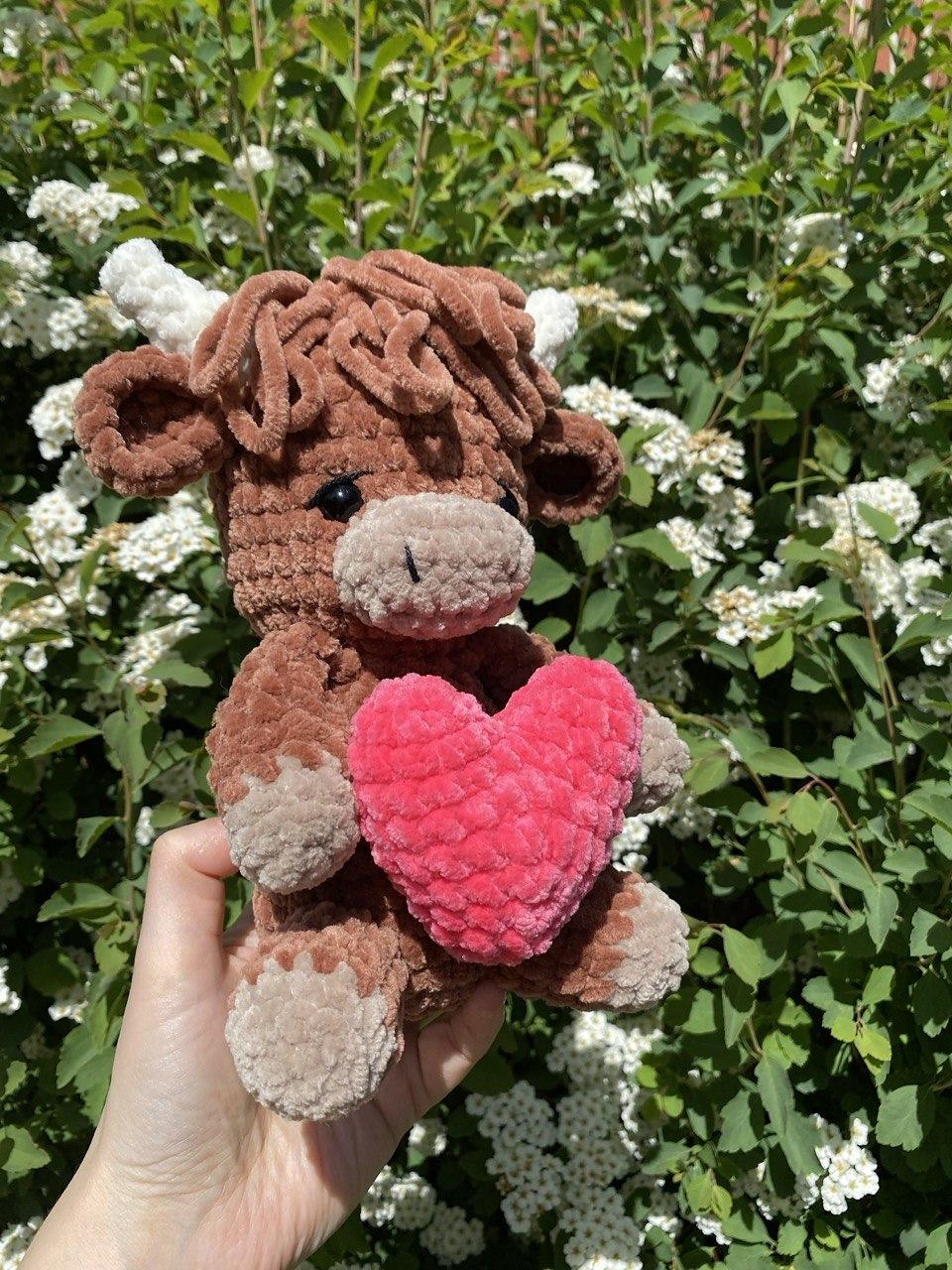 Highland Cow with heart