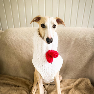 Doggo 21 sweater