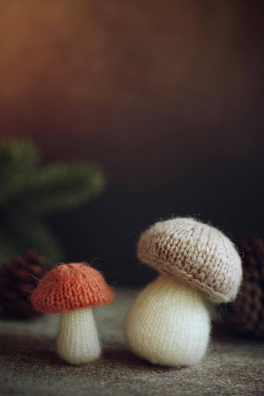 Mushroom Knitting Pattern PDF, Flat Knit Forest Craft Tutorial