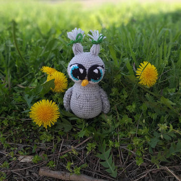 Little owl with big eyes