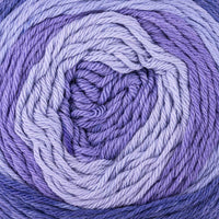 Iris (11)