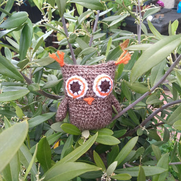 Sprout the Owl