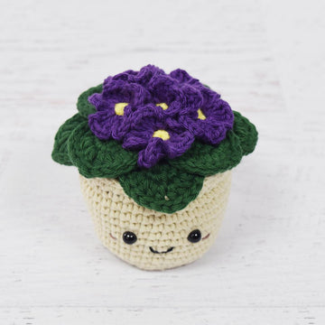 African Violet