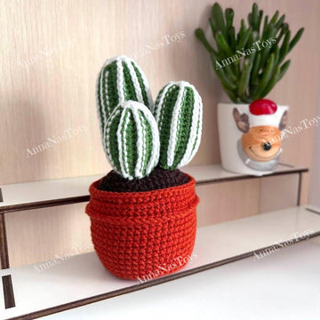 Cactus 3 in a pot