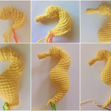Seahorse