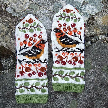Birds and Berries