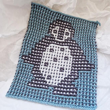 Tap Dancing Penguin Washcloth