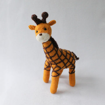 Boy and Giraffe