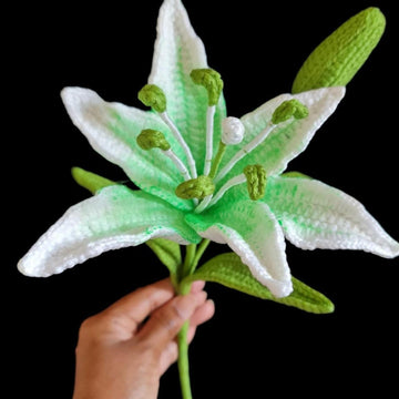 Lily flowers