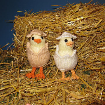 Cheeky Chicks In Shell Suits