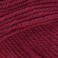 Raspberry (40)