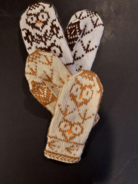 Baby Owls Mitten