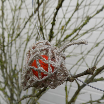 Physalis (Chinese lantern)