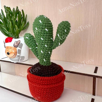 Cactus 2 in a pot