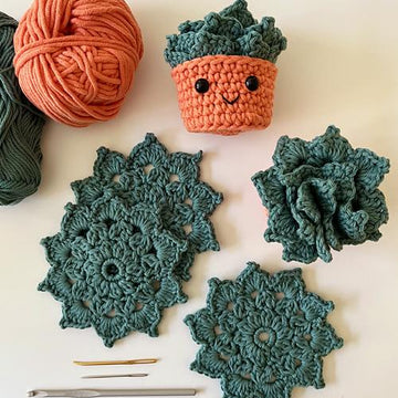 #358 Succulent Coaster Set