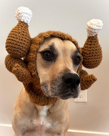 Thanksgiving Turkey Dog Snood
