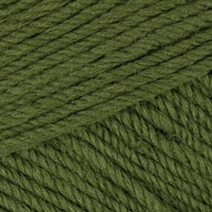 Bayleaf (3088)