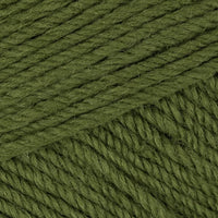 Bayleaf (3088)