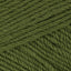 Bayleaf (3088)
