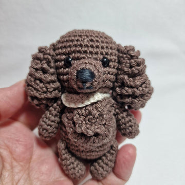 Spaniel Dog