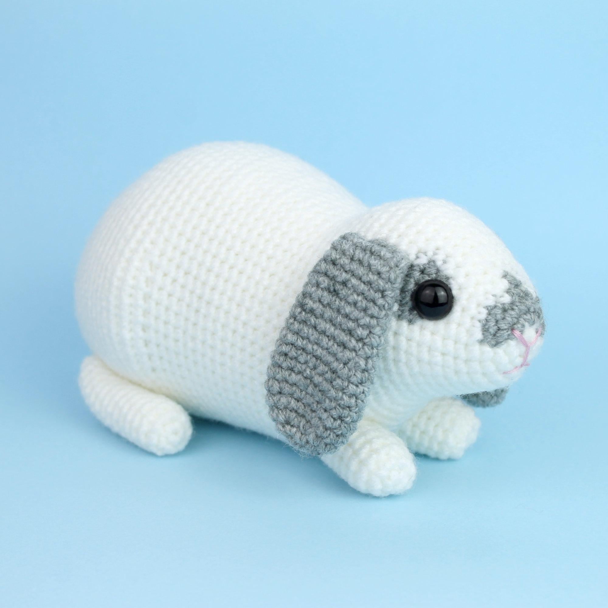 Mini Lop rabbit