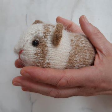 Guinea pig