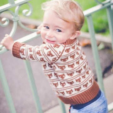 Foxy Loxy Jumper