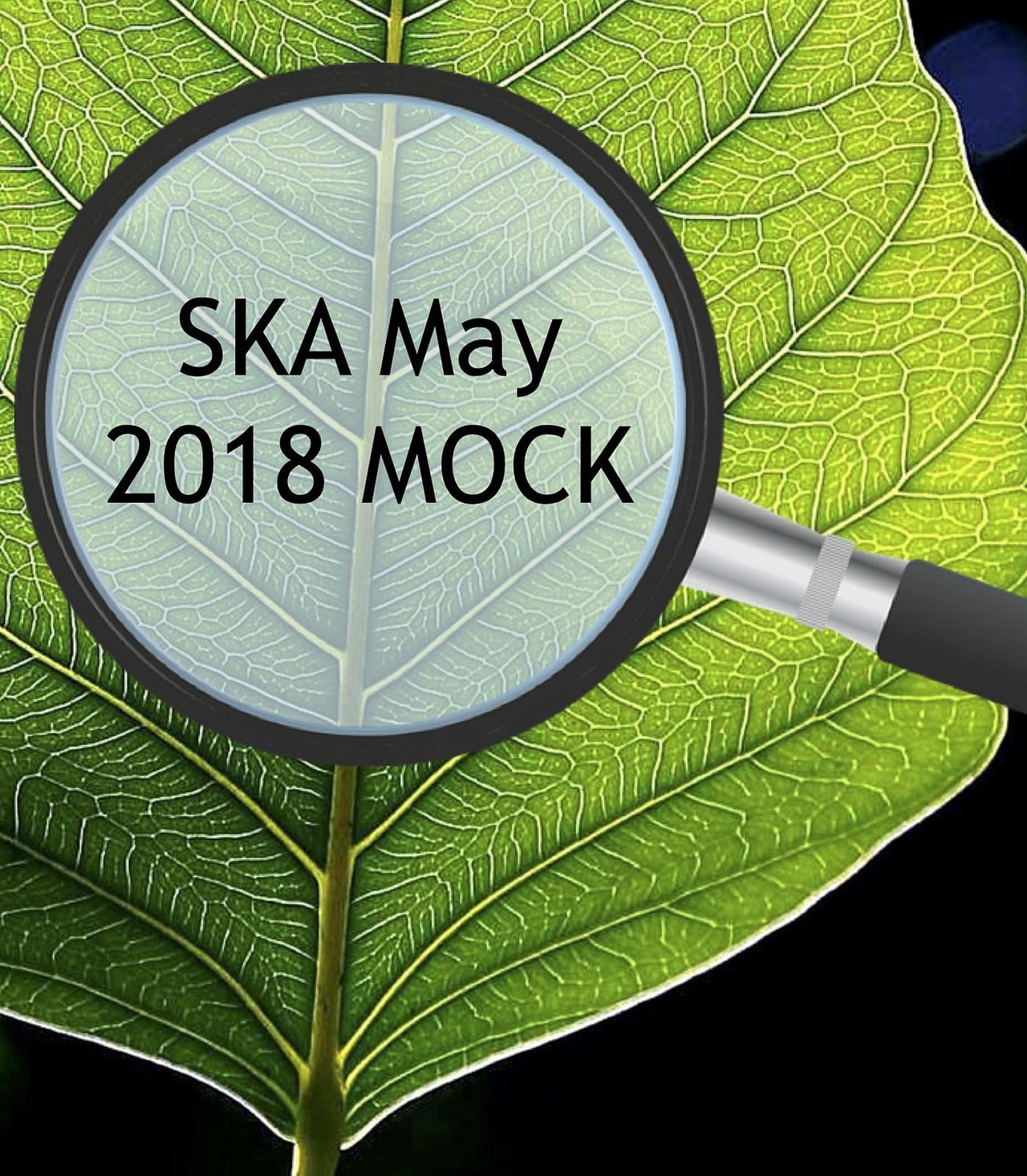 SKA May 2018 MOCK