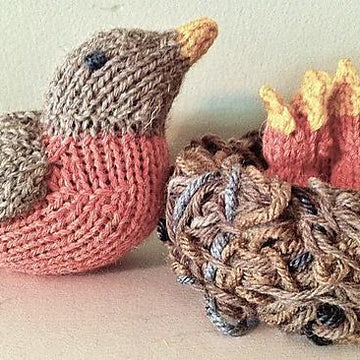 Spring Robin