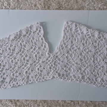 White Crochet Lace Cropped Top