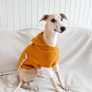 Doggo no 19 sweater