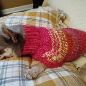 Pull Pepita