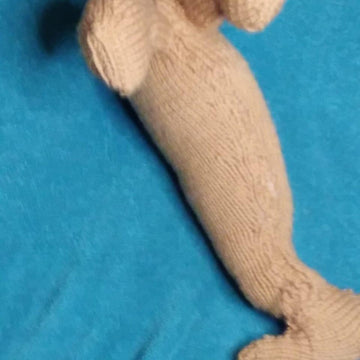 Knitted Walrus