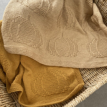 Autumn Pumpkin Knit Blanket