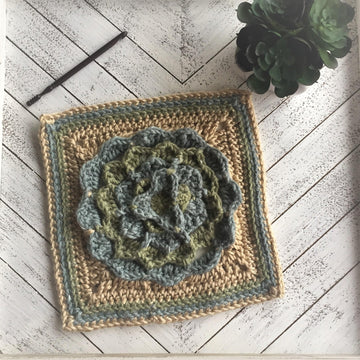 Succulent Square