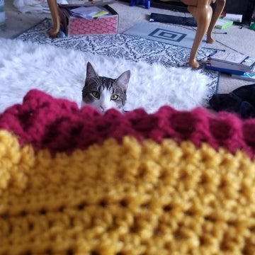 Sampler Scarf