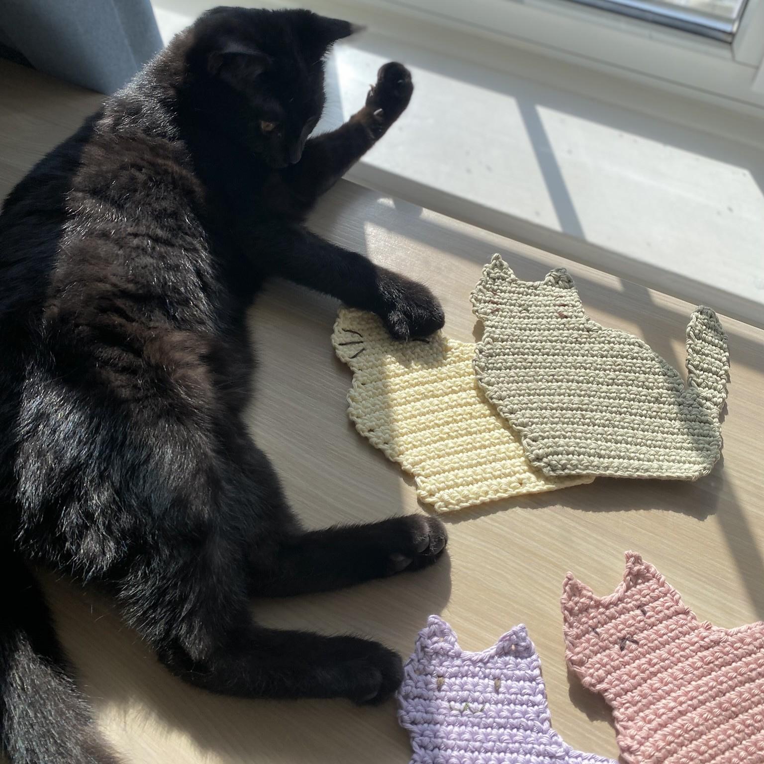 Cat Coaster