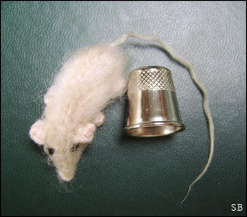 Inzy mouse