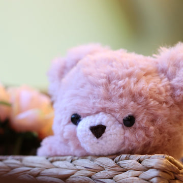 Fluffle the Bear