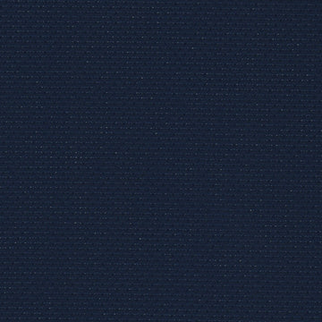 Navy (589)