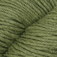 Fern (109)