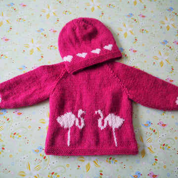 Baby Flamingo and Hearts Outfit