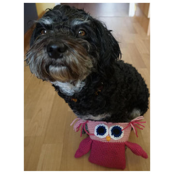 Crochet Pattern Dog Toy Owl