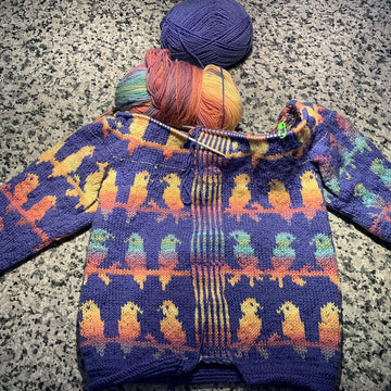 Coat with parrots