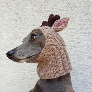 Reindeer Dog Hat