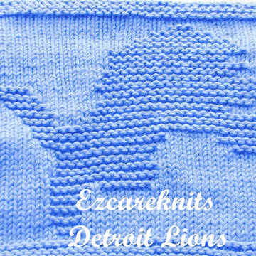 Detroit Lions