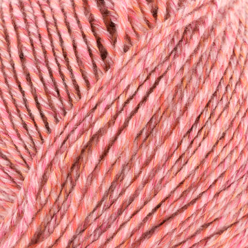 Strawberry Shortcake (35509)